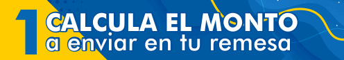 instrucciones